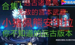 天理维系者爆料视频大全,视频大全背后的真相与内幕