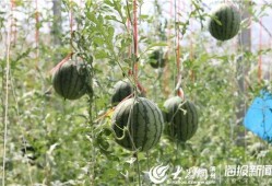 五一吃瓜爆料最新视频,视频揭秘娱乐圈惊人内幕