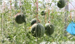 五一吃瓜爆料最新视频,视频揭秘娱乐圈惊人内幕