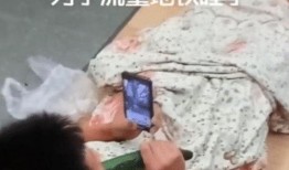 网红为什么直播都在吃瓜,揭秘“吃瓜”现象背后的秘密