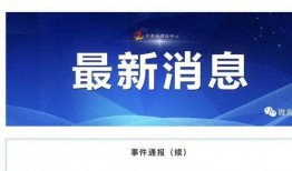 平果市新闻爆料热线,见证城市脉搏，倾听民声心声